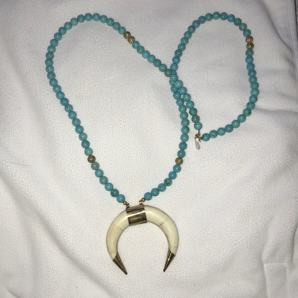 Boutique turquoise horn necklace